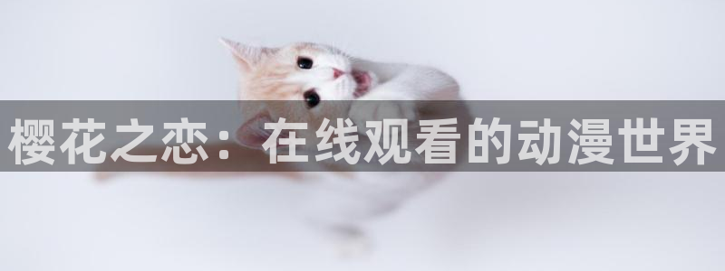 新番动漫