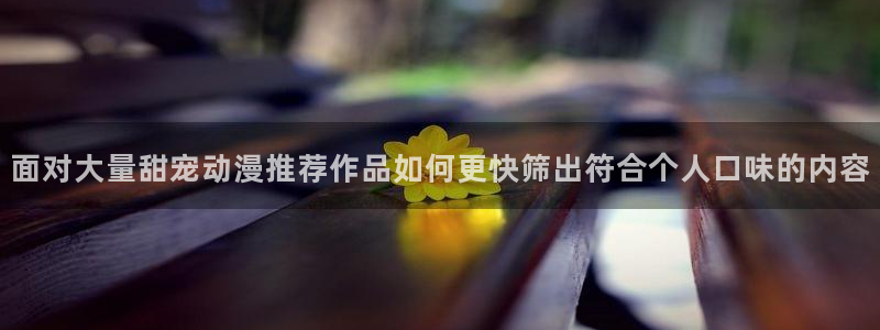 动漫番剧大全