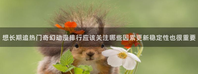 动漫在线观看网站