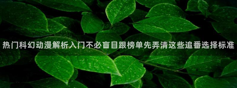 魔法动漫推荐