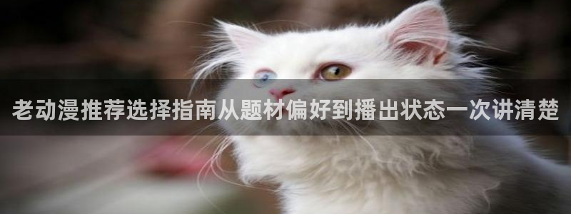 动漫推荐