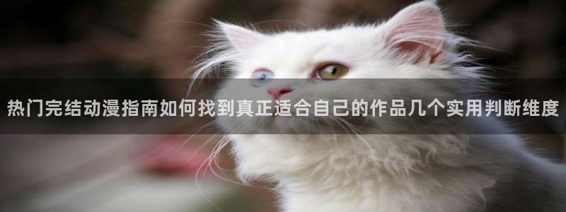 国漫推荐