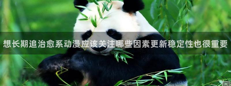 最新动漫资讯