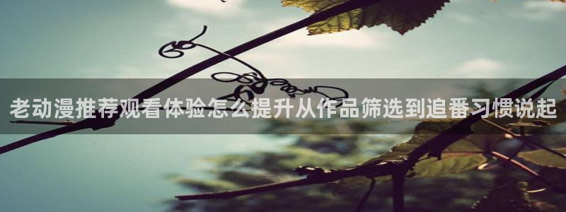 动漫番剧推荐