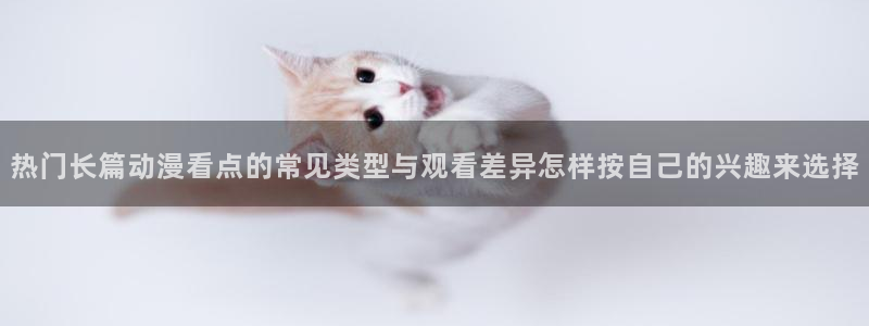 新番动漫排行