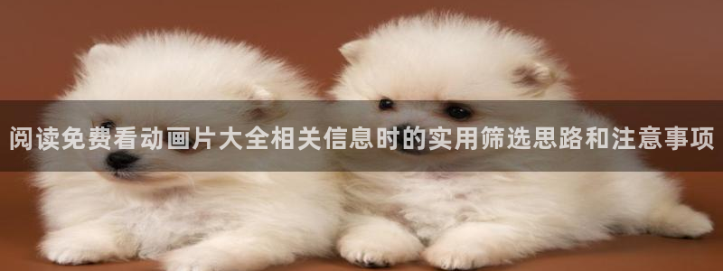 动漫导航网:阅读免费看动画片大全相关信息时的实用筛选思路和注意事项