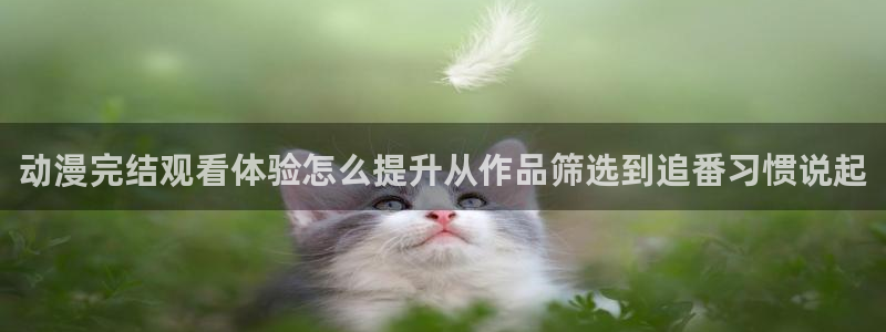 完结动漫大全:动漫完结观看体验怎么提升从作品筛选到追番习惯说起