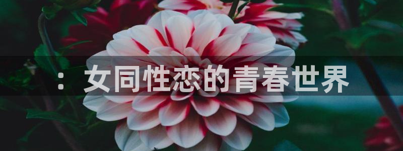 最新连载动画::女同性恋的青春世界