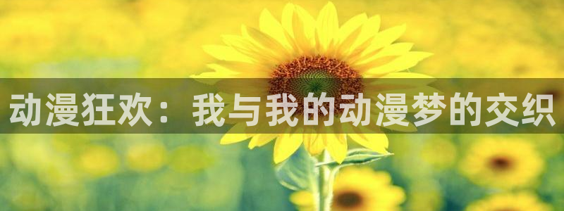 日本动画:动漫狂欢:我与我的动漫梦的交织