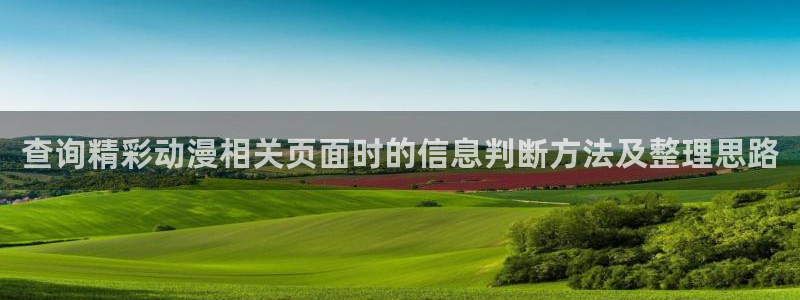 动漫在线网站:查询精彩动漫相关页面时的信息判断方法及整理思路