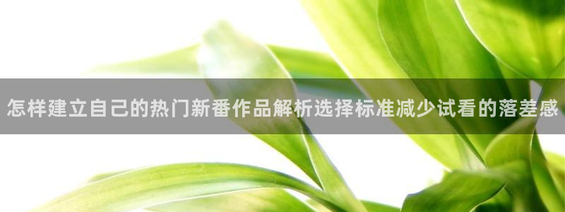 最新动漫在线观看：怎样建立自己的热门新番作品解析选择标准减少试看的落差感