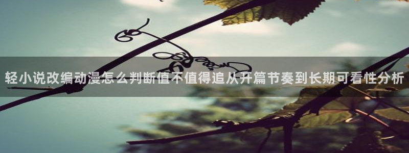 机战动漫